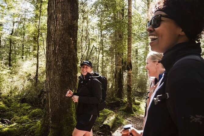 Lake Marian Guided Hike with Transfers, Lunch & Morning Tea - The Experience in Practice: What Travelers Say