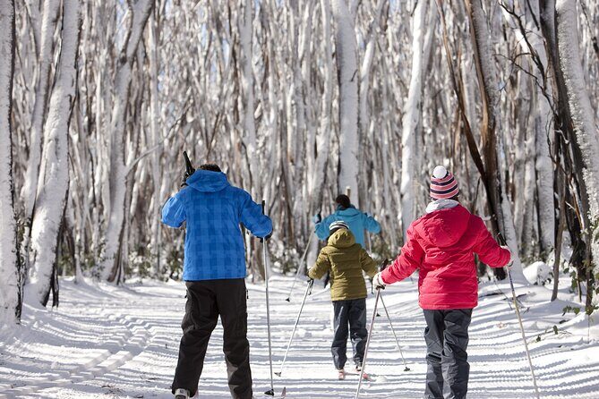 Lake Mountain Snow play and Steavenson Falls from Melburne - The Practicalities and What to Expect
