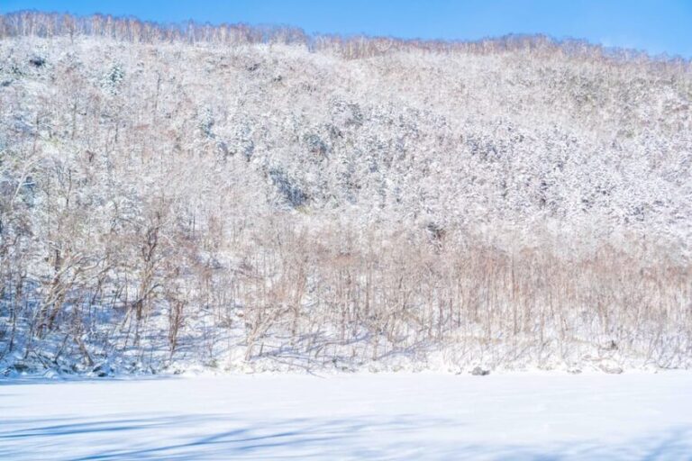 Lake Tachibana: Snowshoe to a frozen lake! - FAQs