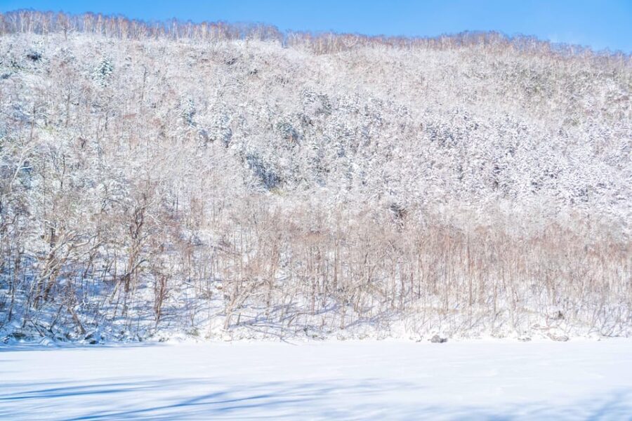 Lake Tachibana: Snowshoe to a frozen lake! - FAQs