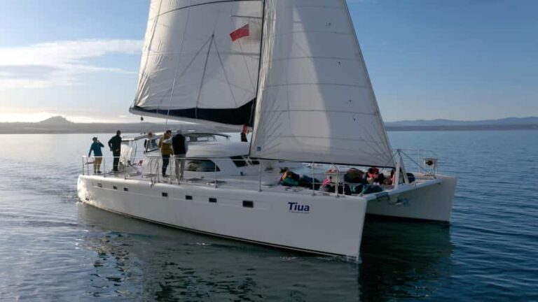 Lake Taupo: Luxury Sailing Catamaran to Mori Rock Carvings - The Value of a Quality Guided Experience