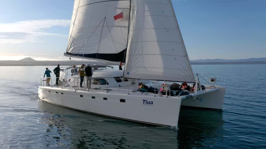 Lake Taupo: Luxury Sailing Catamaran to Mori Rock Carvings - The Value of a Quality Guided Experience