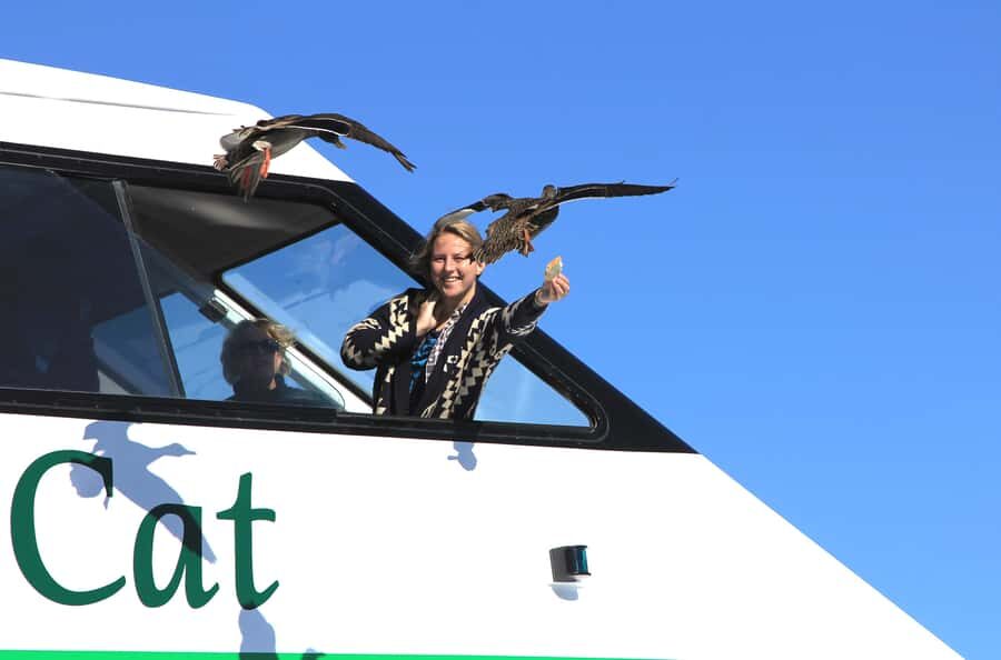 Lake Taupo: Maori Rock Carvings 8.30 AM 1.5-Hour Cruise - An Authentic 1.5-Hour Scenic Escape