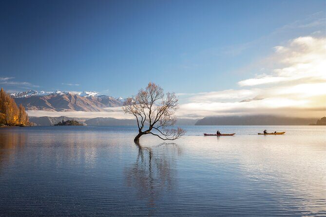 Lake Wanaka Roy's Bay Kayak Tour - What to Expect During the Tour