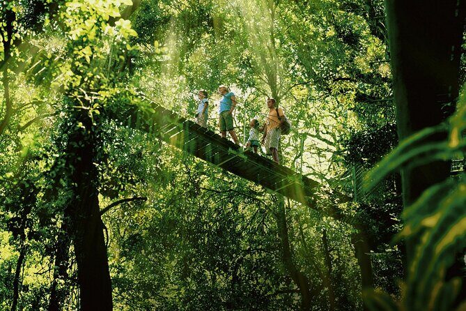 Lamington National Park, O'Reilly's & Vineyard Tour - Practical Details