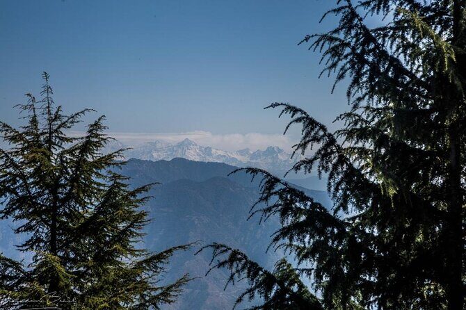 Landour Figure of Eight Walk - The Experience in Detail