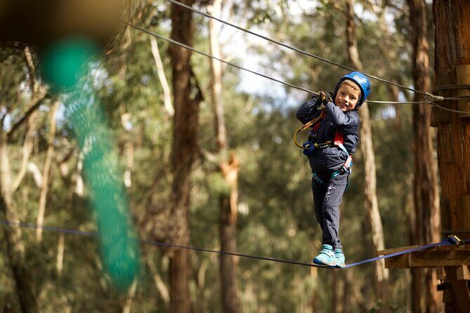 Lane Poole Park Dwellingup - Junior Tree Ropes & Ziplining - What You Need to Know Before You Go