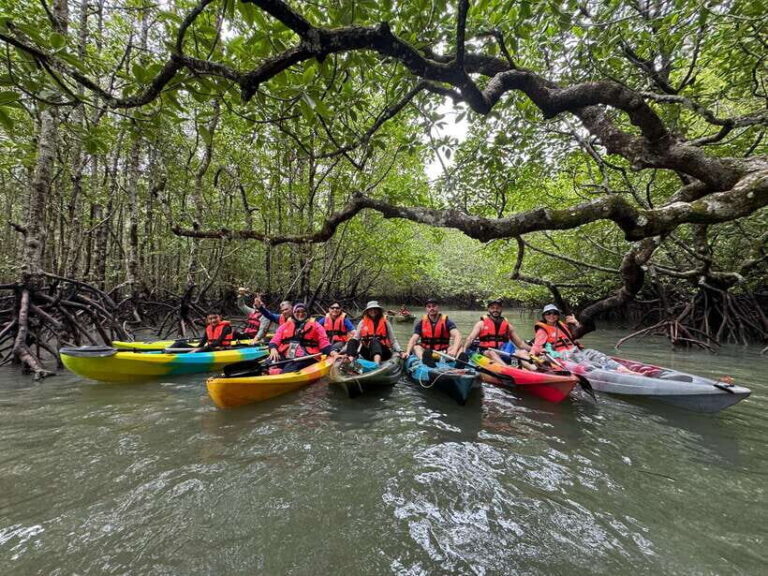 Langkawi: Mangrove Kayaking by Farly - The Itinerary Breakdown: What to Expect