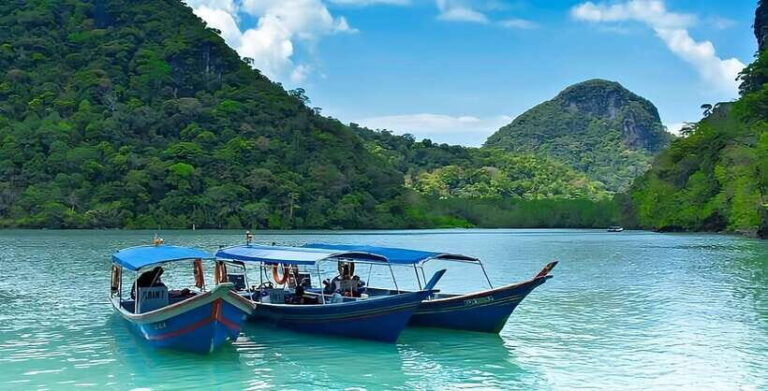Langkawi: Mangrove Tour with Kilim Geoforest Park & Bat Cave - Who Should Consider This Tour?