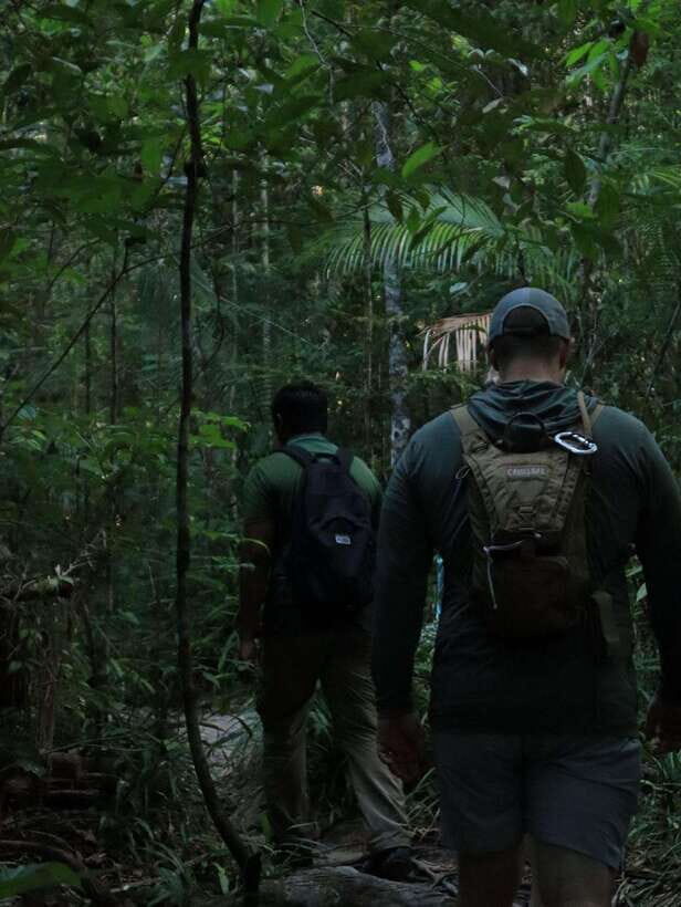Langkawi: Mount Matchinchang Hiking Tour - The Sum Up: Who Will Love This Tour?