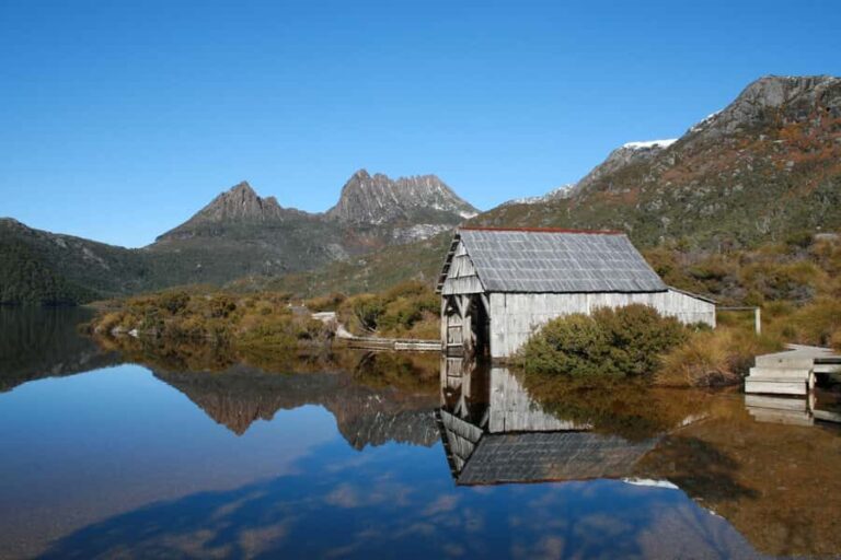 Launceston: Cradle Mountain Guided Active Day Trip - Sheffield: Town of Murals