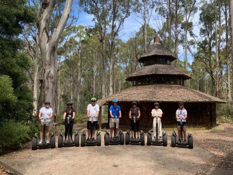 Launceston: Hollybank Forest Guided Segway Tour with Photos - The Experience: Glide, Learn, and Capture