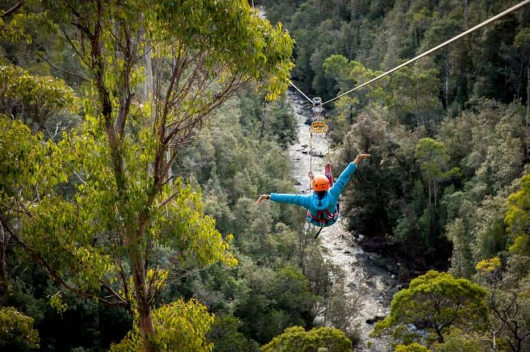 Launceston: Hollybank Forest Treetop Zip Lining with Guide - Authentic Feedback from Travelers