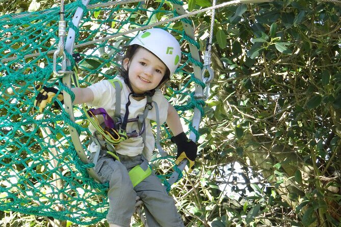 Launceston Hollybank Junior Tree Ropes Course - Why Families Will Love It