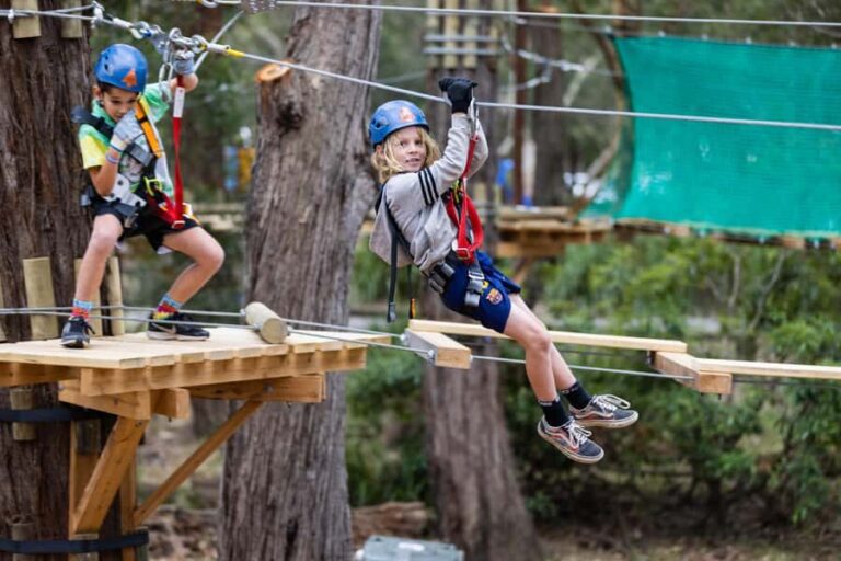 Launceston: Hollybank Junior Tree Ropes Course - Practical Tips for Visiting