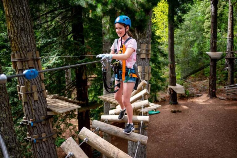 Launceston: Hollybank Tree Ropes Course - How the Experience Feels in Practice