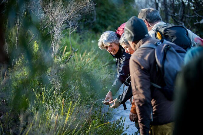 Lighting the Sound Uredale Twilight Hike - Practical Details and Considerations