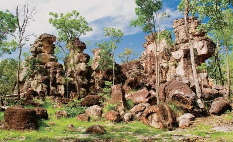 Litchfield 1 day Classic. Off road adventure. Private. VIP - What Makes This Tour Stand Out?