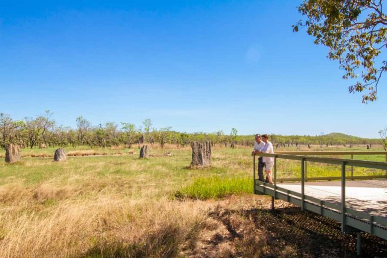 Litchfield National Park: Full-Day & Lunch from Darwin - Discovering Litchfield: What the Tour Offers