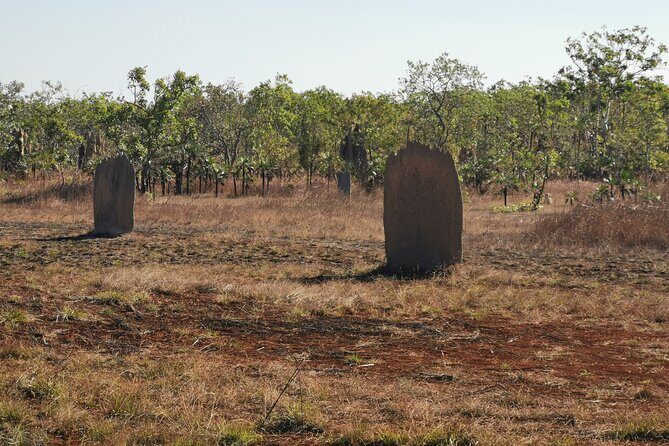 Litchfield Premium Day Tour, 10 guests only, lunch included - Final Thought: Is It Worth It?