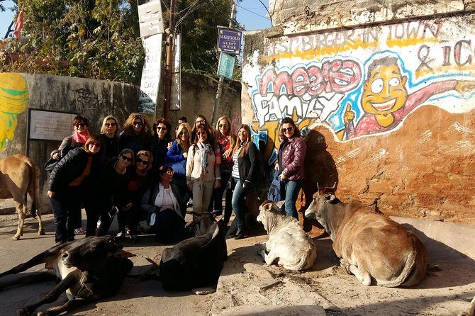 Local Sightseeing - Udaipur ," Travel With Chinmay ". - Practicalities and Value