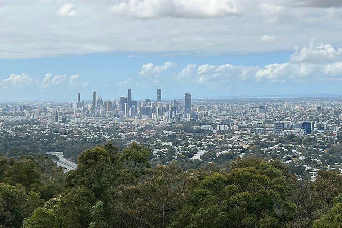 Lone Pine, Brisbane Highlights and Lunch! - Practical Tips for Participants