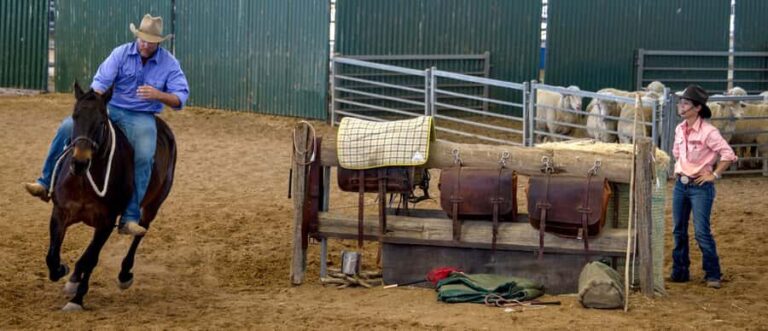 Longreach: Australian Stockman Museum's Immersive Tour - The Sum Up: Who Will Love This Tour?