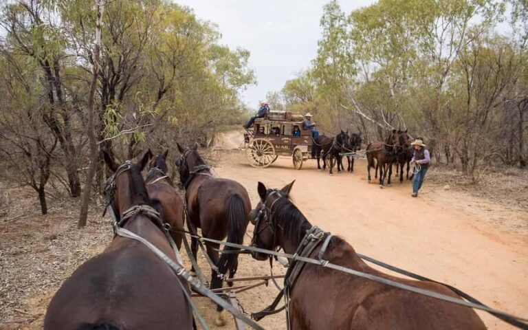 Longreach: Ride on a historic stagecoach on a bush track - The Experience in Context