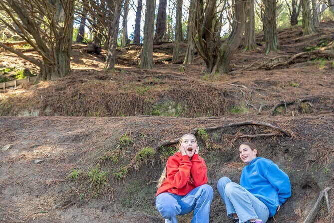 Lord of the Rings 1/2 day Tour to rule them all incl. Weta Tour - How Do the Reviews Reflect the Experience?
