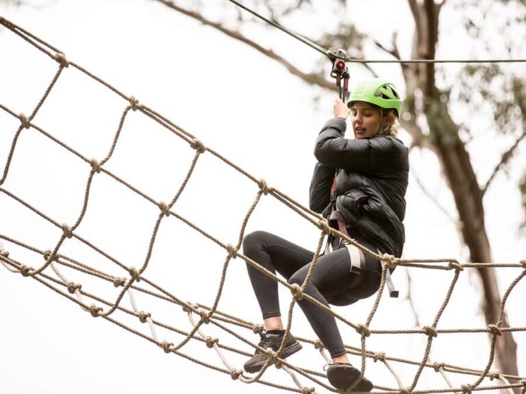 Lorne: Live Wire Park Super Circuit Ticket - The Sum Up