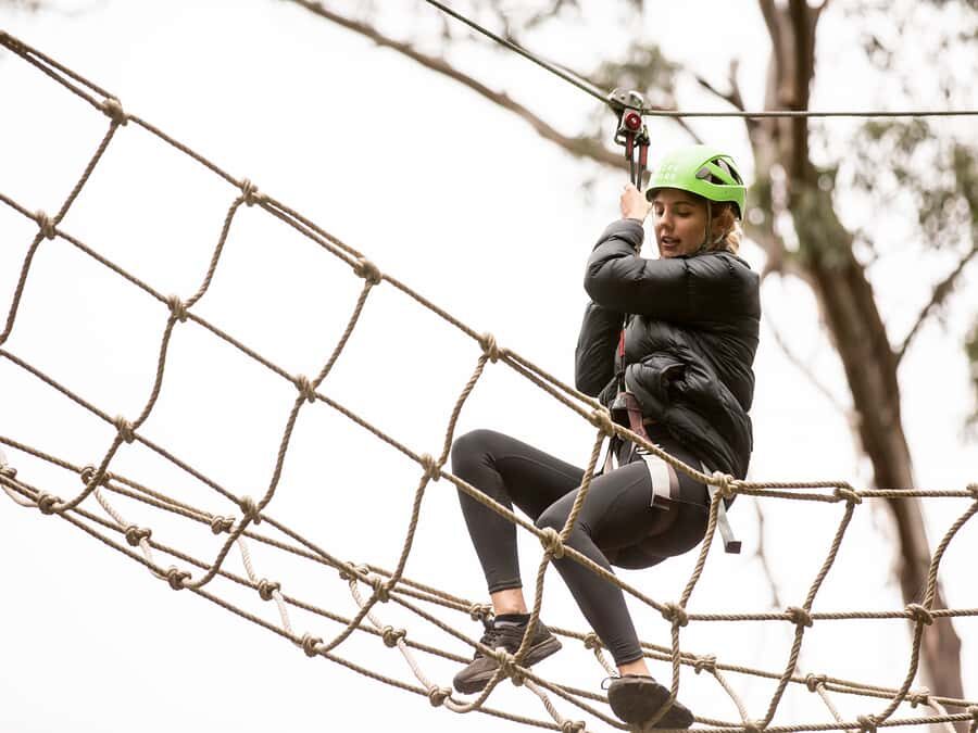 Lorne: Live Wire Park Super Circuit Ticket - The Sum Up