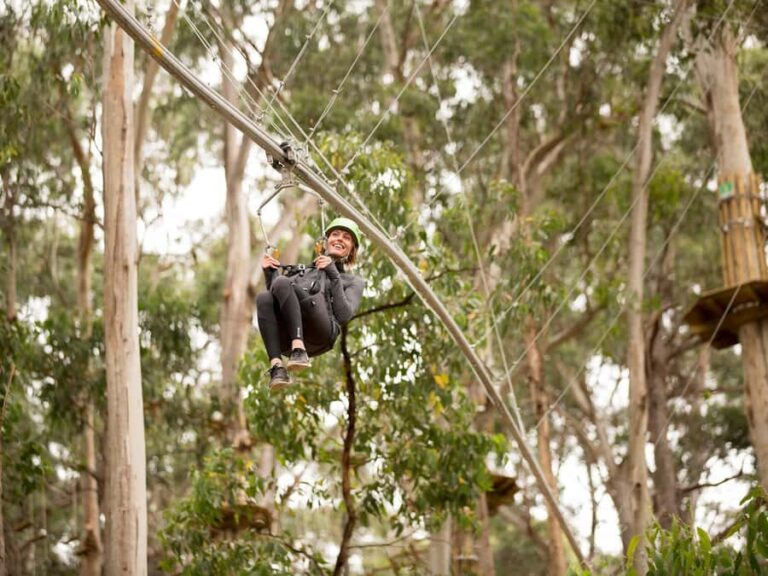 Lorne: Live Wire Park Ticket with Zip Line Rollercoaster - Who Will Love This?