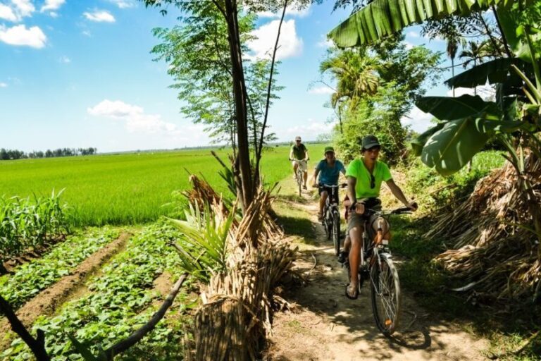 Lost Civilization - My Son Temples Bike Tour in Hoi An - The Value of the Experience