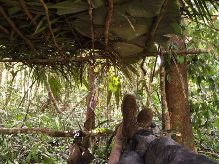 Luang Prabang: Forest Camping Experience with Cooking Class - The Practicalities: What You Need to Know