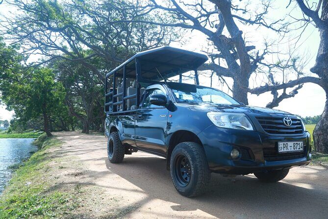 Lunugamvehera National Park Private Safari - What the Reviews Say: Authentic Perspectives