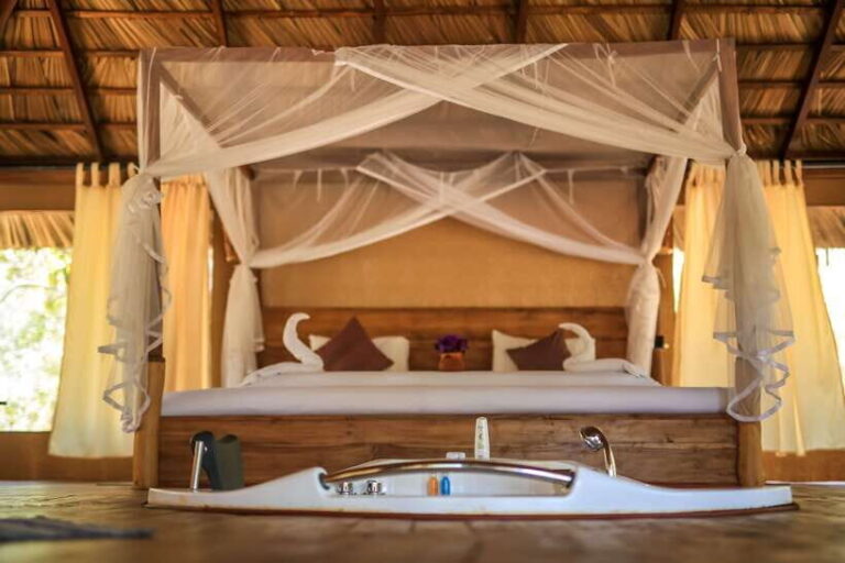 Luxury Camping and Safari Experience in Yala Park - What Travelers Say