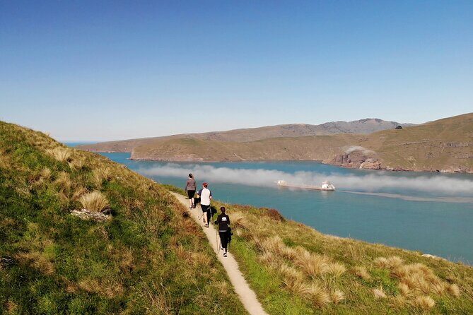 Luxury Private Guided Crater Rim Walk on Banks Peninsula - The Itinerary Breakdown