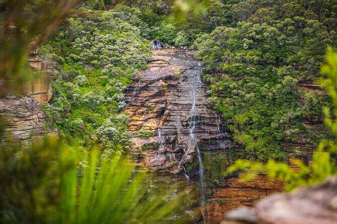 Luxury Small Group of 5 Blue Mountains Escape Tour - Detailed Breakdown of the Itinerary
