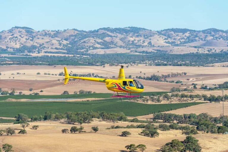 Lyndoch: Barossa Valley Helicopter Flight & Romantic Picnic - The Land and the Picnic: Hoffnungsthal Valley
