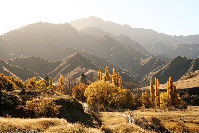 Macetown 4WD Adventure  Full Day Guided Tour from Queenstown - The Sum Up