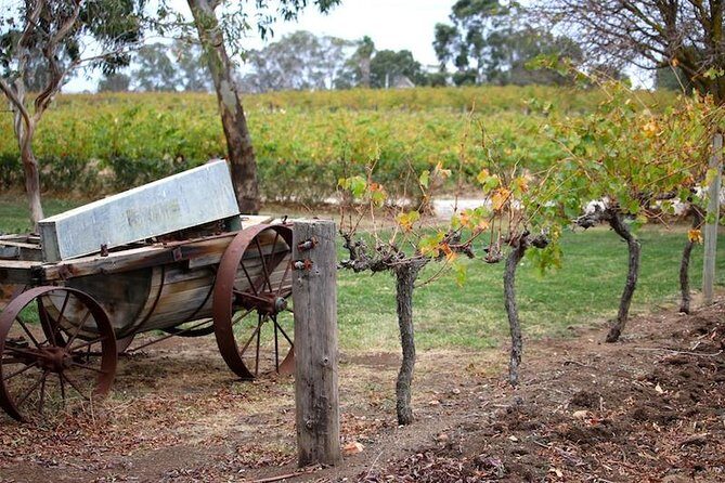 Maggie Beer Farm - Barossa Valley Regional Tour - The Practicalities: What to Expect from the Tour
