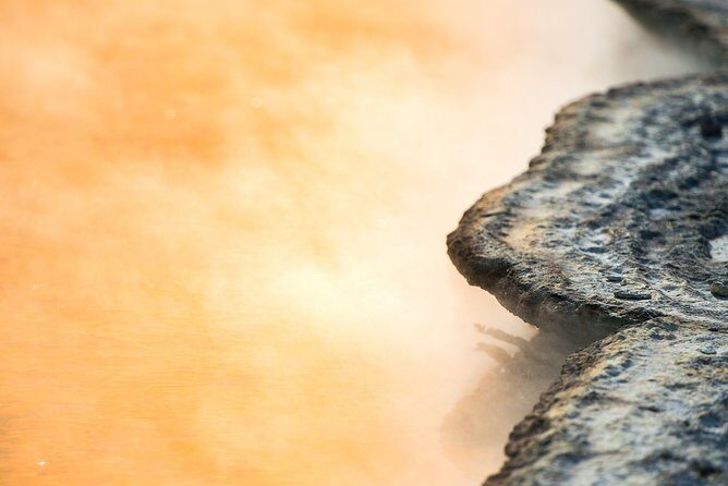 Magical Wanderer Experience Private Tour to Te Puia & Wai-O-Tapu - Transportation and Comfort