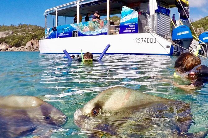 Magnetic Island Discovery Tour with Snorkeling & Paddle Boarding - Final Thoughts