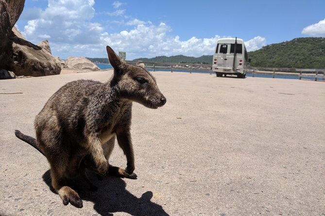 Magnetic Island Tour: Maggie Comprehensive - What’s Included and What’s Not