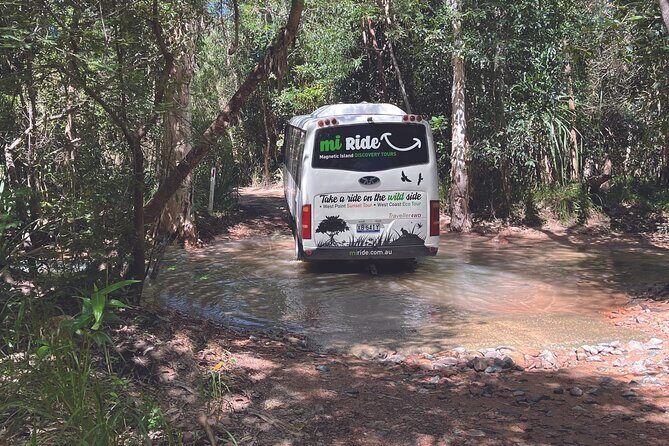 Magnetic Island: West Coast Eco Adventure - An In-Depth Look at the West Coast Eco Adventure