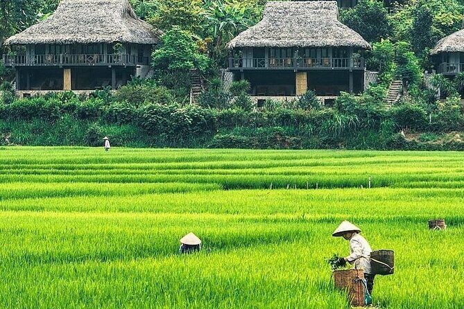 Mai Chau 1 Day: Cycle Through Peaceful Villages, Scenic Valleys - Arrival at Mai Chau and Lunch