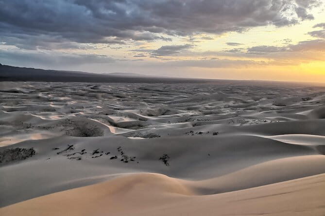 Majestic Gobi Desert with overnight in Terelj NP (incl. Chinggis Khan Statue) - The Experience: What Travelers Say