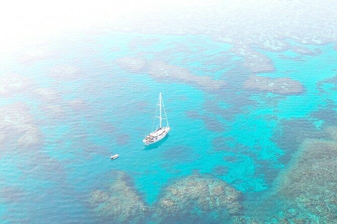 Major Tom -Sailing Day Cruise, with Snorkeling, Lunch & More! - What Makes the Major Tom Sailing Day Cruise Special?