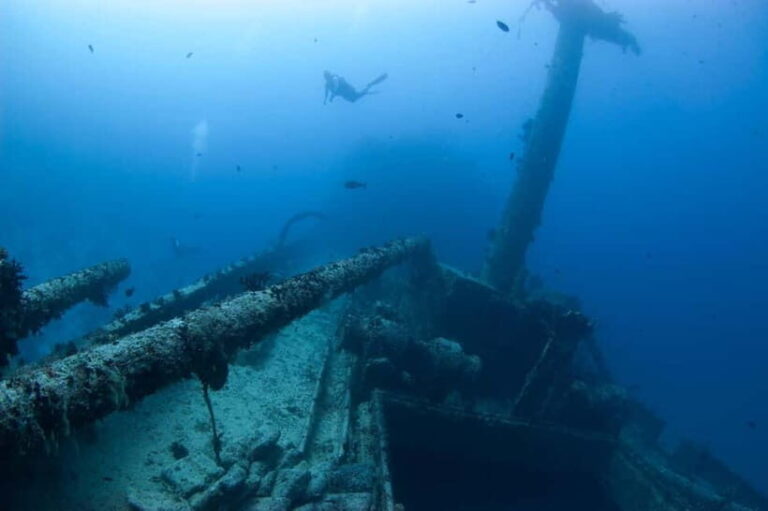 Maldives: Victory Shipwreck Scuba Dive - What to Expect from Your Dive Experience