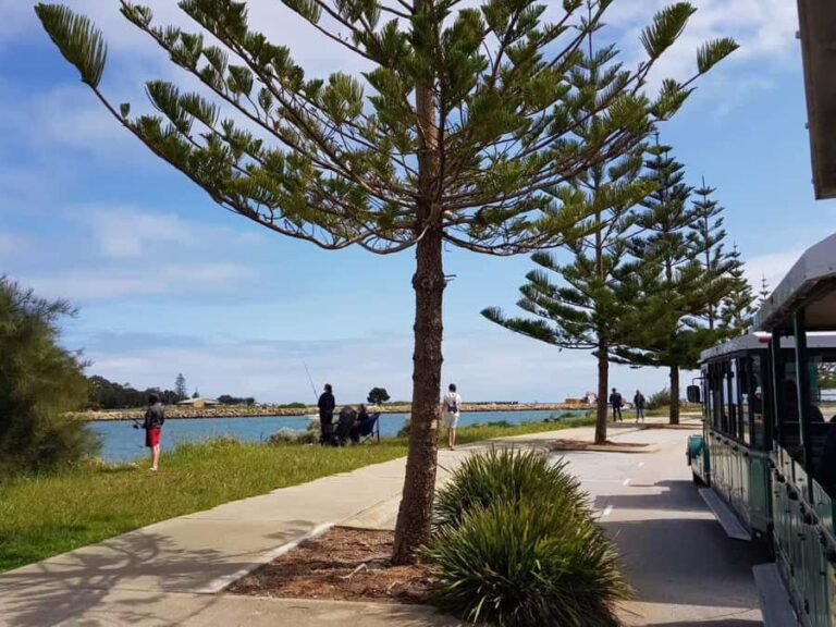 Mandurah: Big Toot 30 mins scenic tour - Authentic Encounters and Reviews